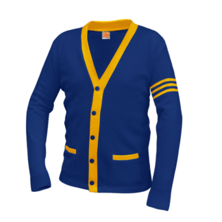 varsity cardigan royal gold